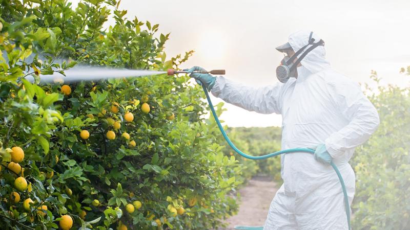 United States Biorational Pesticides Market to Reach US$ 18.85 Billion by 2031, Driven by Sustainable Farming and Green Agriculture Initiatives | Top Companies are BASF SE, FMC Corporation, Corteva