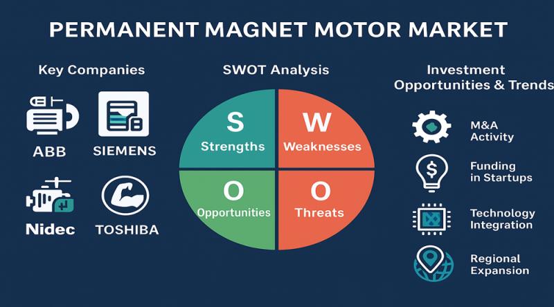Permanent Magnet Motor Market Key Players - Share Consolidation Trends & Capital Growth Signals