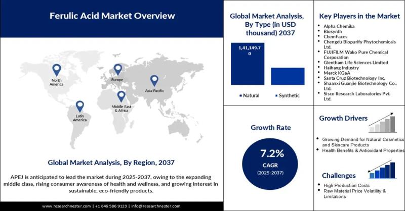 Ferulic Acid Market Size is Expected to Surpass USD 199,662.4 thousand by 2037 | Major Industry Players: Biosynth, ChemFaces, Chengdu Biopurify Phytochemicals Ltd., FUJIFILM Wako Pure Chemical Corporation