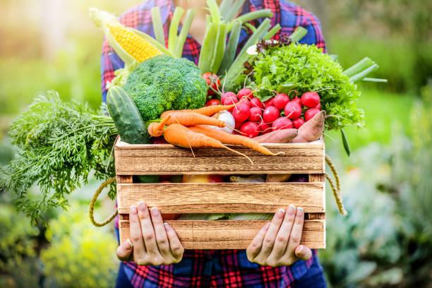 Organic Foods and Beverages Market : A Look at the Industry's Growth and Future Prospects