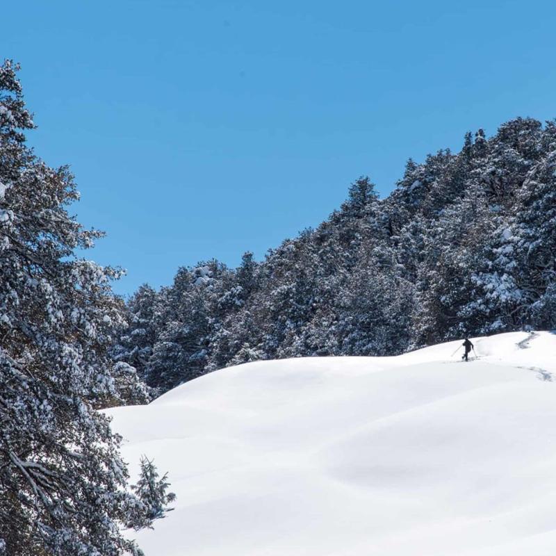 Mountains, meadows, and memories - welcome to the hill stations of Uttarakhand
