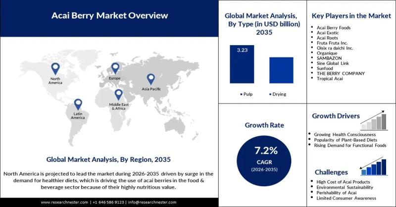 Acai Berry Market revenue to surpass USD 3.23 billion by 2035, says Research Nester