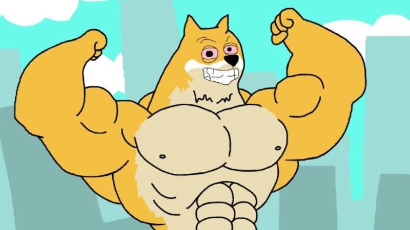 Analysts Focus from XRP to Maxi Doge