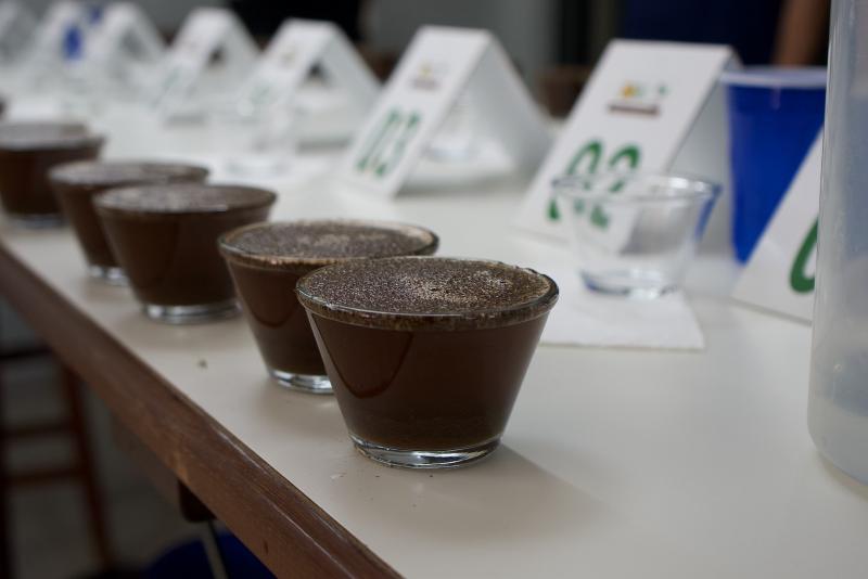 BSCA  - Rafael Carvalho