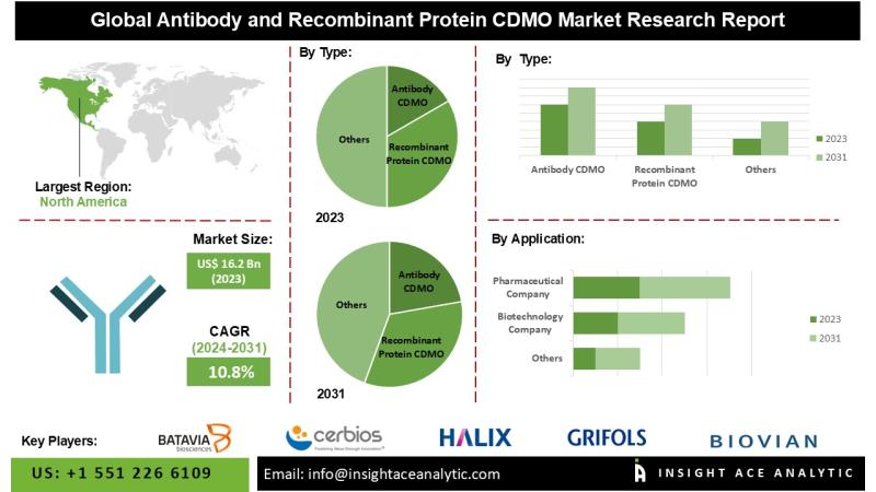 Antibody and Recombinant Protein CDMO Market Strengthens with Growing Focus on Cost Efficiency and Advanced Production Technologies