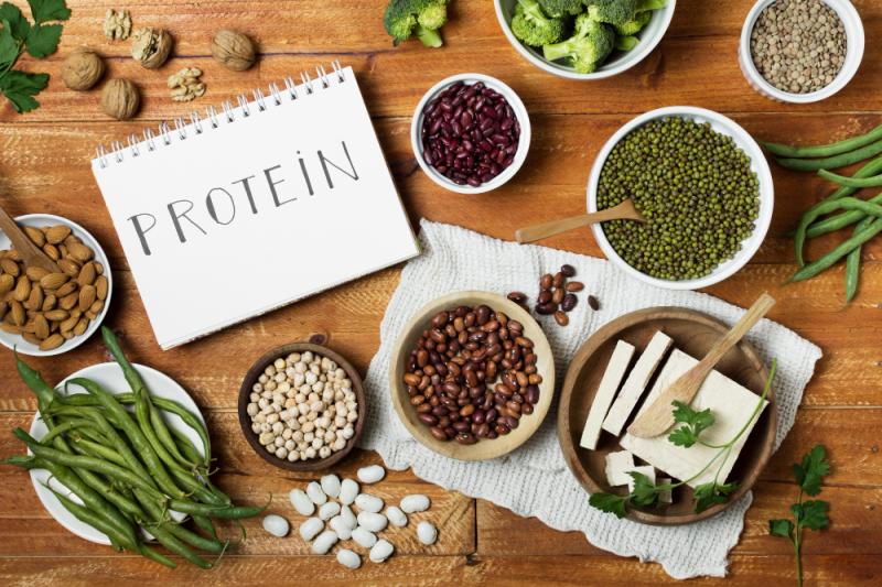 India Plant Based Protein Market Size, Share, Trends, Growth, Demand and Forecast 2025-2033