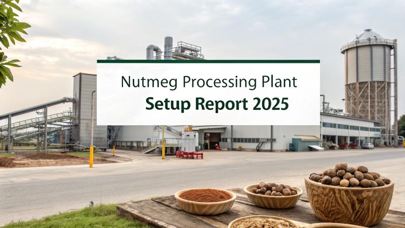 Nutmeg Processing Plant Setup Cost 2025| Detailed Project Report and Business Plan