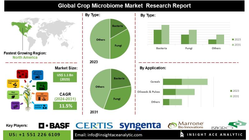 Crop Microbiome Market Boosted by Increasing Use of Bacteria and Fungi to Enhance Soil Fertility and Crop Yield