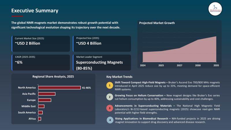 NMR Magnets Market Size, Share, and Growth | Magnet Type , Frequency, Field Strength, Cooling Technology, Instrument Configuration, End-Use Industry