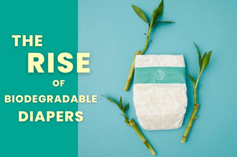 Biodegradable Diapers Market