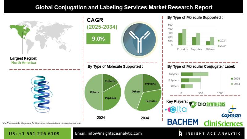 Conjugation and Labeling Services Market Know the Scope and Trends