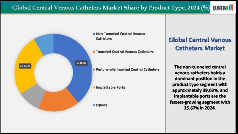 Central Venous Catheters Market