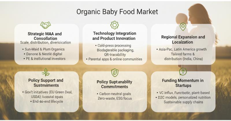 Inside the U.S. Organic Baby Food Market: Trends, Competitive Positioning & Investment Themes