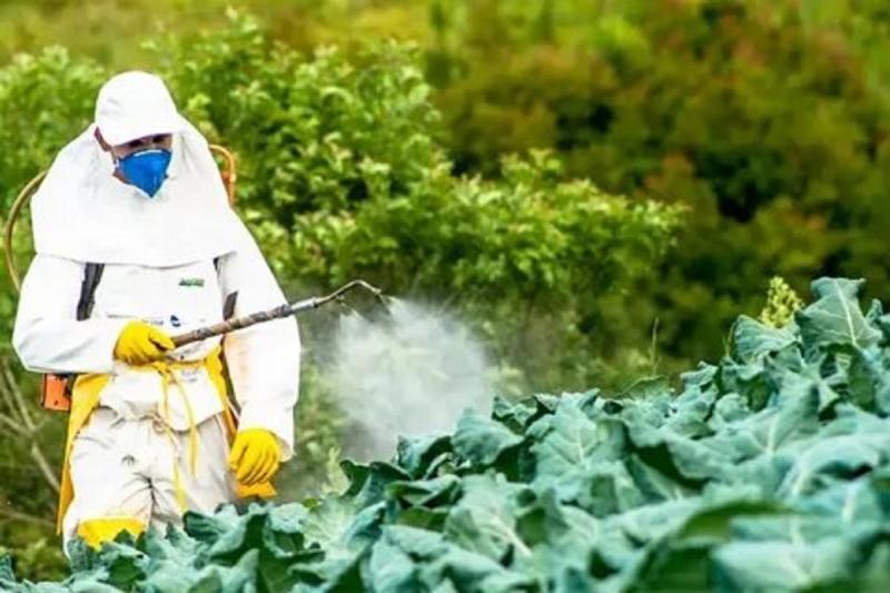 US Crop Protection Revolution: Chemical Fungicides Market Growth Amid Rising Disease Threats | Top Companies and Emerging Technologies