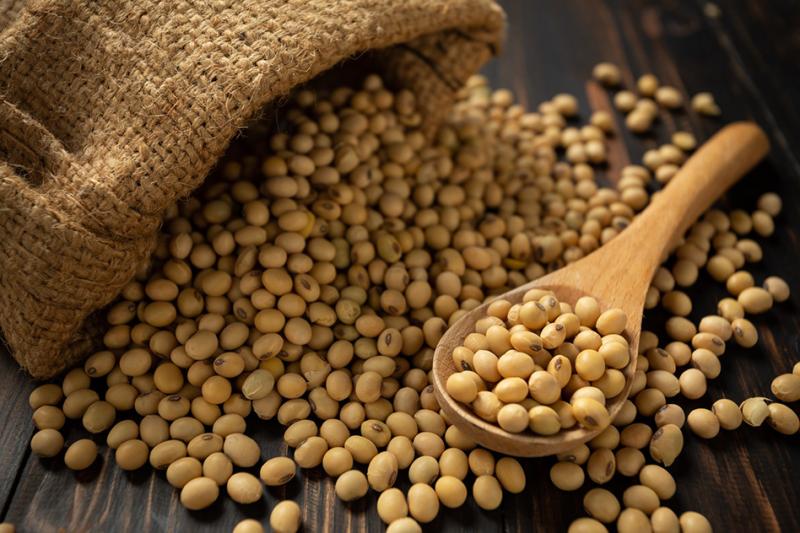 United States Organic Soy Protein Market: Powder & Dry Formats Market Trends - 2025-2032 | Major Companies - ADM, DuPont, Cargill Incorporated, CHS Inc.