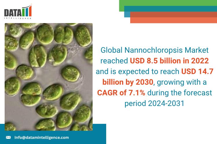 United States Nannochloropsis Market 2025: Industry Developments, Future Growth, Share & Industry Insights | BlueBioTech Group, Reed Mariculture Inc., Necton S.A., Astaxa GmbH, Proviron Industries