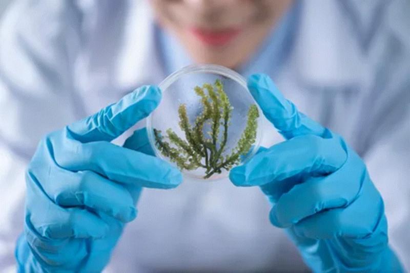 Environmental Testing Market Overview, Growth Outlook, and Future Opportunities (2024-2031)