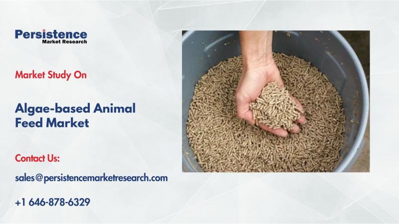 Algae-Based Animal Feed Market to Reach US$ 6.53 Bn by 2032 Driven by Sustainable Nutrition Demand