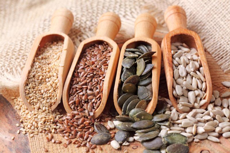 Seeds Market Outlook: Growth Drivers, Key Players & Future Trends