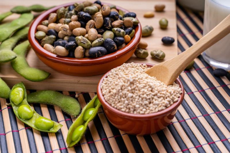 United States Hydrogenated Lecithin Industry Sees Rapid Product Expansion in 2025 | Top 5 Companies are Lucas Meyer Cosmetics (IFF), Cosphatec GmbH, Berg+Schmidt GmbH & Co. KG, Kewpie Corporation, Guangzhou Hisoya Biological Science & Technology Co., Ltd