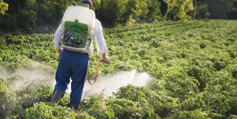 Organophosphate Insecticides Market is expected to reach US$ 8.47 billion by 2031 | Top key players - FMC Corporation, ADAMA, Eraithu