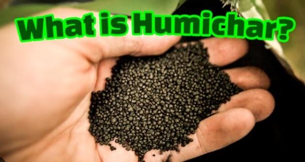 Humichar Market Next Big Leap| Major Giants Biogrow Australia, Black Owl Biochar, Novocarbo GmbH