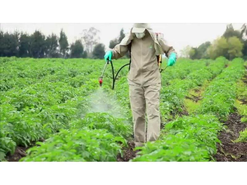 Global Crop Bactericides Industry Expand to US$ 13.32 billion by 2031| Govt. Approvals, Key Players: BASF SE, FMC Corporation, American Vanguard Corporation, Sumitomo Chemical Co., Ltd, PI Industries| DataM Intelligence