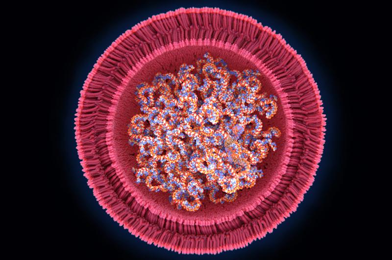 The Global Lipid Nanoparticles Market is projected to reach a market size of USD 2.156 billion by the end of 2030