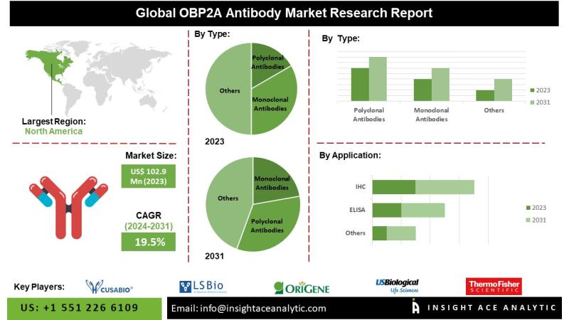 OBP2A Antibody Market Thrives on Technological Innovations in Antibody Production