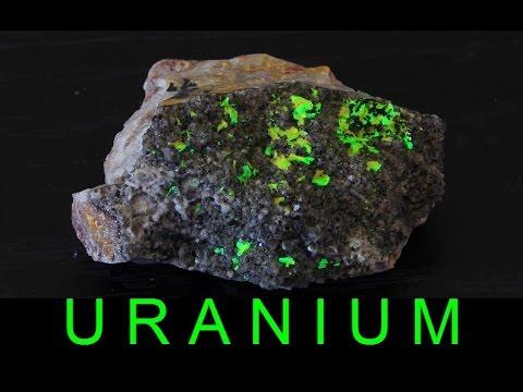 United States Uranium Market to Grow at 4.86% CAGR, Driven by Nuclear Energy Revival and Supply Security Concerns | DataM Intelligence