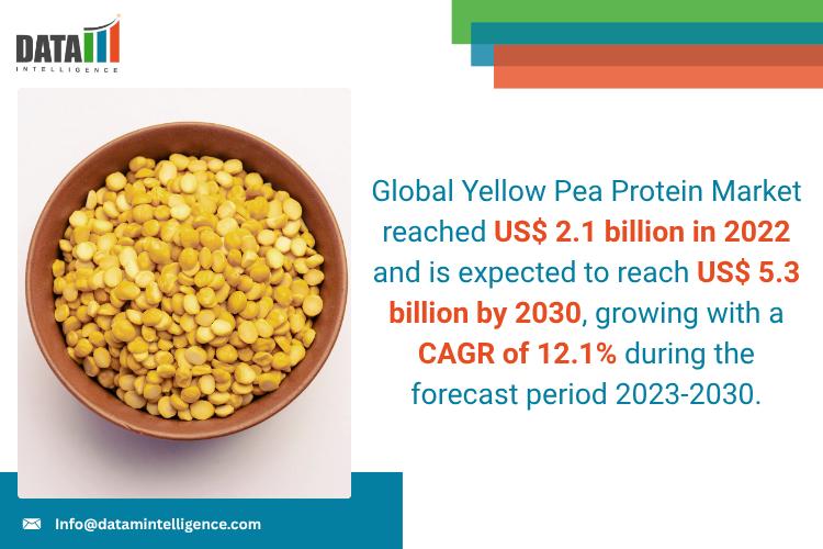 Yellow Pea Protein Market - DataM Intelligence