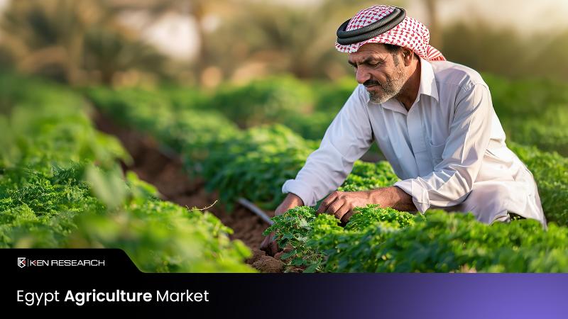Egypt Agriculture Market