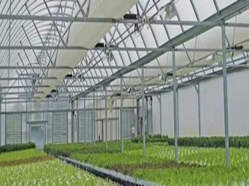 Commercial Greenhouse Market