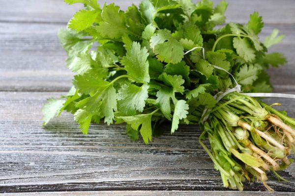 The Global Celery and Coriander Produce Market is projected