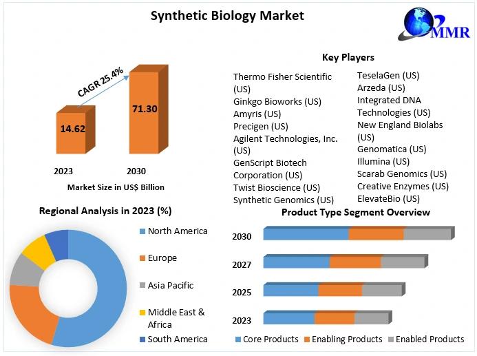 Synthetic Biology Market