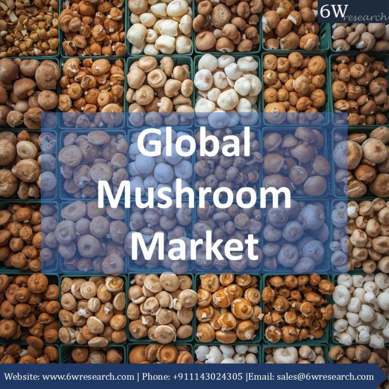 Rooted in Growth: Why Mushrooms Are the Future of Food, Health,