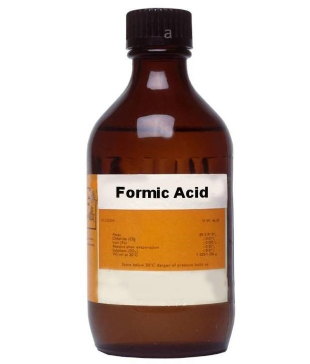 Formic Acid Market