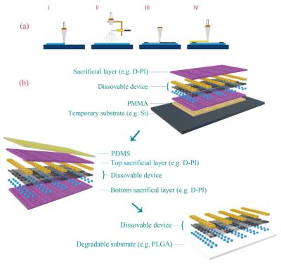 The Global Biodegradable Thin Film Materials Market