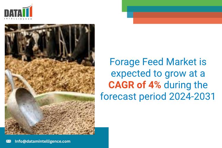 Forage Feed Market - DataM Intelligence