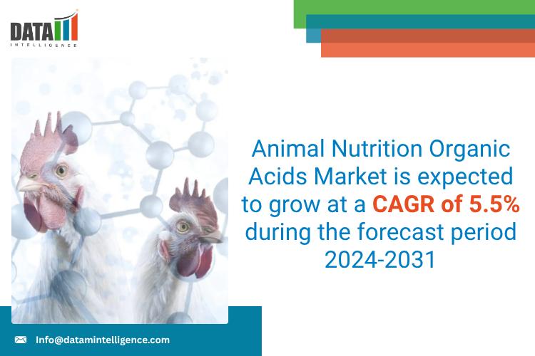 Animal Nutrition Organic Acids Market - DataM Intelligence