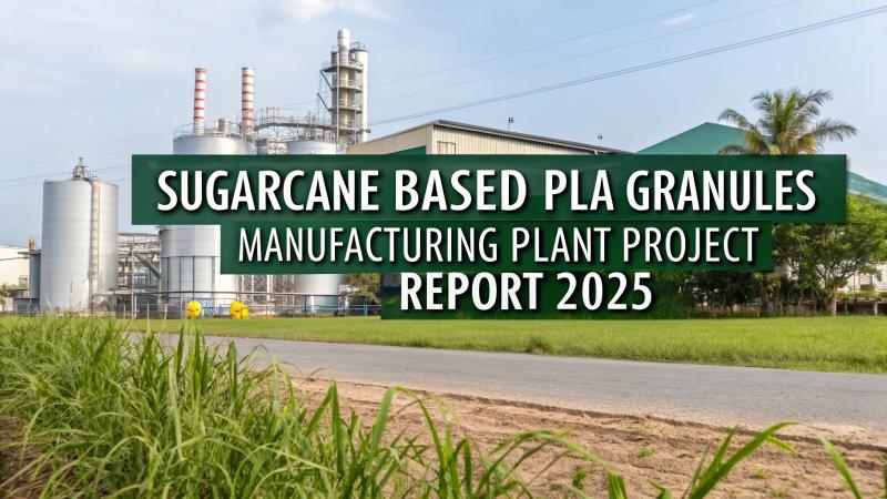 Sugarcane Based PLA Granules Manufacturing Plant Report 2025: