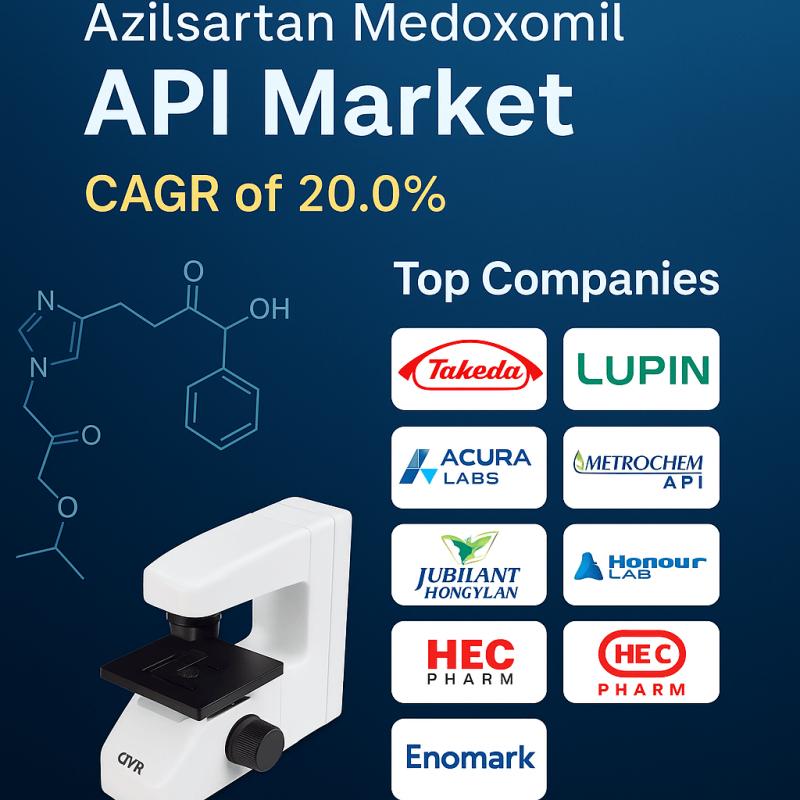 Azilsartan Medoxomil API Market