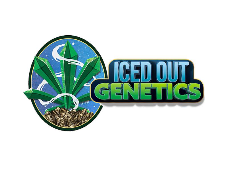 Iced Out Genetics Expands with Edibles Line - Backed by New