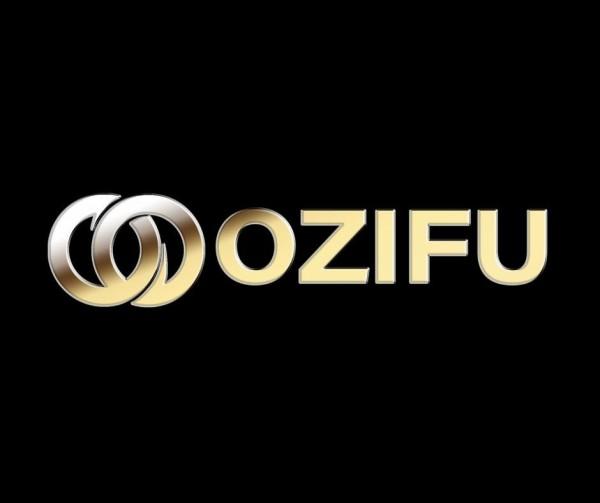 Ozifu Redefines Blockchain Infrastructure Investment: A New