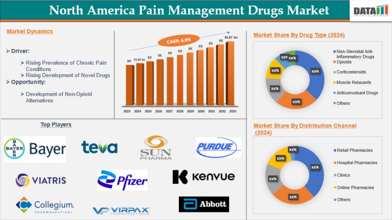 North America pain management market - DataM Intelligence
