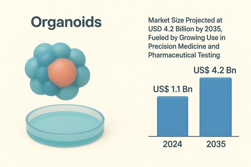 Organoids Market Size