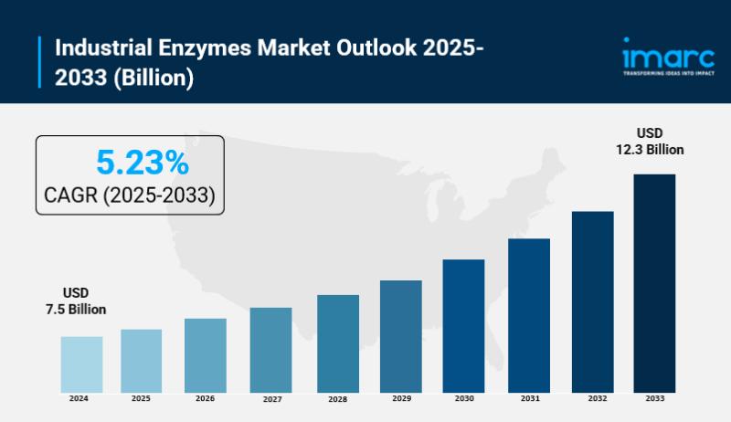 Industrial Enzymes Market Size, Share, In-Depth Analysis,