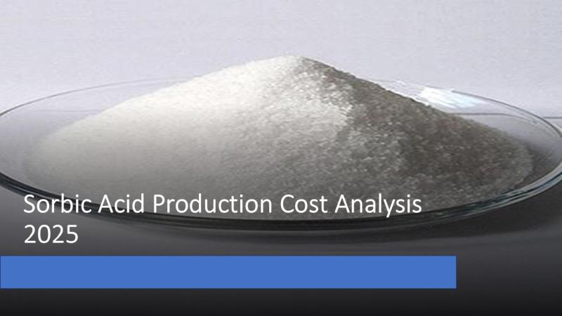 Sorbic Acid Production Cost Analysis Report 2025: Feasibility