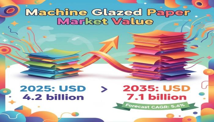 Machine Glazed Paper Market