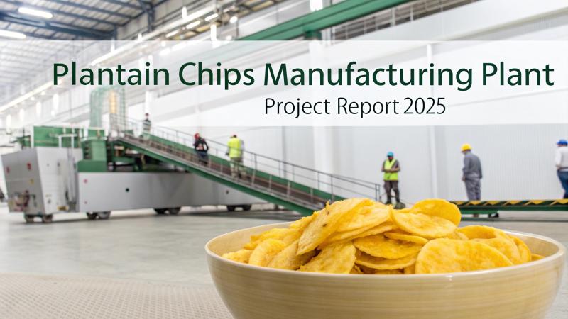 Plantain Chips Manufacturing Plant Setup Report 2025: Cost
